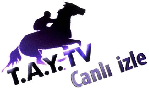 tkfjkk|TJK TV .